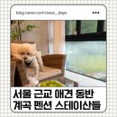 스테이산들펜션 계곡 수영장 단체 가족 | <가평 애견동반숙소>계곡 옆 스테이산들, 여름에 재방문 필수