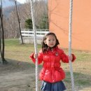 진부령 목장 이미지