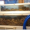 룸할인마트 이미지