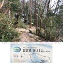 경포대주차장 이미지