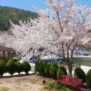 왕산어촌체험휴양마을 이미지