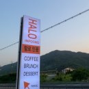 할로인풍 이미지