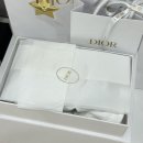 Dior, 디올 새들 벨트, 파리 쁘렝땅 디올 구매후기(사이즈 70)