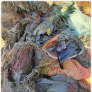 공단수지 이미지