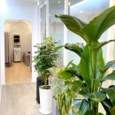 풍기한의원 이미지