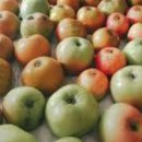 하곡농장 이미지