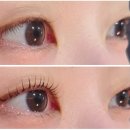 드니엘 | 드니엘래쉬 | 광화문 종각역 인근 속눈썹펌 맛집 방문 후기