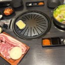 꽃돼지화돈