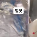 카페일할때 뻘짓한거 찍은거 웃기네 이미지