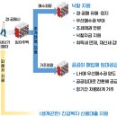 '전세사기 피해자 지원 및 주거안정 지원방안 이미지