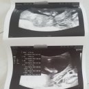 아마존여성의원 이미지