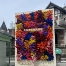 러시아빵집 | 대련 러시아거리 후기｜신문지 사진, 발효음료 대련 가볼만한곳
