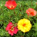 삼산1리 이미지