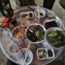 시골집에서 머무는 느린 여행, 경남 고성 촌캉스 ‘풀빛 고성’ 후기