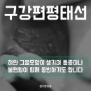 태선위생 이미지