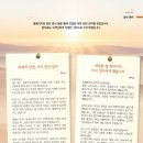 시냇가에심은나무