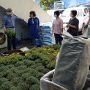 사그내길 이미지