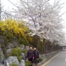 박창옥 이미지