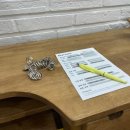 윤이네공방 | [서울 마포] 홍대 반지공방 추천｜반지캠퍼스카페 반지만들기 원데이 클래스 후기