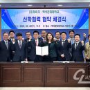 유한책임회사하이모 네이버블로그