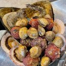 권곡로 | 아산 권곡동 맛집 등불회관 조개모듬구이 후기