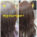 박상우헤어플래너