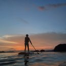 사하라동물병원 이미지