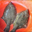 대천수산 이미지