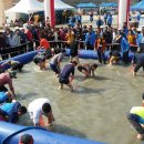 서산갯마을낙지 이미지