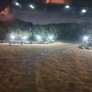 미깡낭밭 이미지