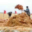 채령농장 이미지