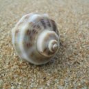 케이아이씨 이미지