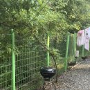 마지초교 | 서울 근교 당일치기 글램핑 - 파주글램핑 낭만 하늘연, 수영장 무료에 준비물 없는 파주 캠크닉 / 내돈내산