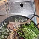 벚꽃나들버섯집 이미지