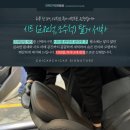 일산 손세차 치카치카: 손세차 후 실내 탑승감이 이렇게 달라질 줄이야!