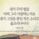 오늘의 '영어성경 사진'(737강) “하나님의 법을 사랑하세요”(시편 119편 97절) 이미지