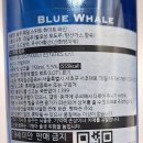 화이트 웨일(WHITE WHALE)