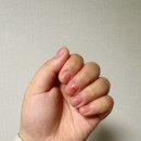 루비반지 PET SHOP 우두점 이미지