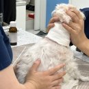 정메디컬 이미지