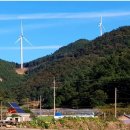 서해태양광발전소 이미지