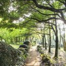 한라수목원 이미지