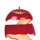 본욱농장 이미지