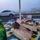 보물선횟집 이미지