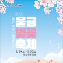 벚꽃 티스토리