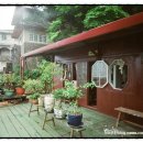 대머리민박 이미지