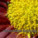 산청한의원 이미지