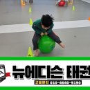더뉴태권도장
