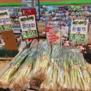 유온약국 네이버블로그
