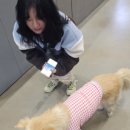 금풍농장 이미지