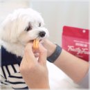 깐깐푸드 이미지